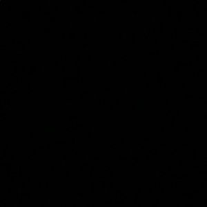 Meet your Posher, Laniya